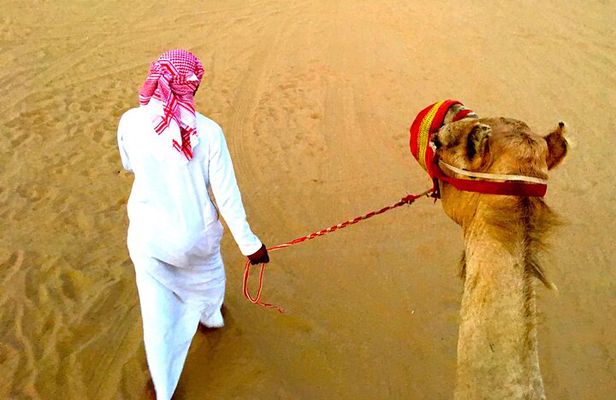 Dubai Desert Safari Camel Ride and ATV Bike with BBQ Dinner