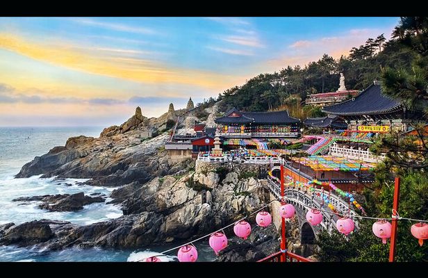 Busan Private Guided Tour : Enjoy Customized Tours only for you!