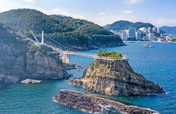 Busan Gyeongju Customizable Private Taxi or Van Tour (up to 8pax)