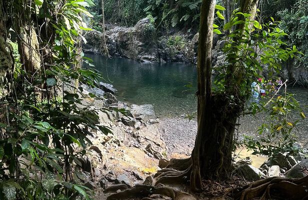 Explore El Yunque Tour Adventure