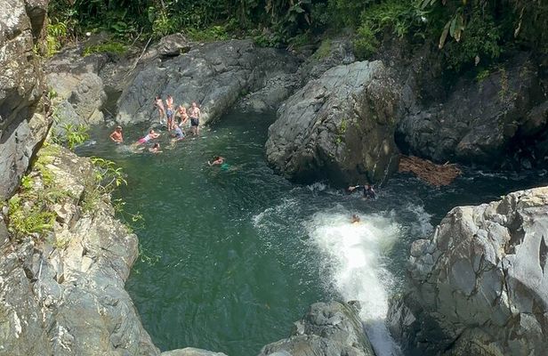Authentic El Yunque Rainforest Adventure — Waterfalls & Slides