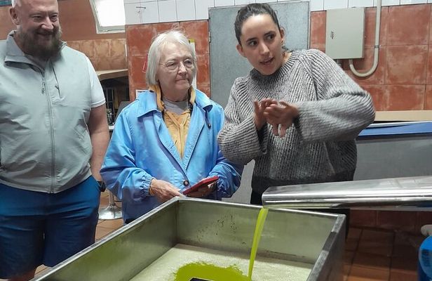Tarragona: History & Olive Oil tasting from Barcelona