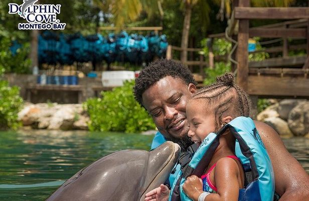 Day trips from Kingston