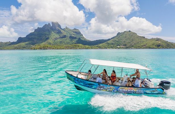 Bora Bora Full Day Manu Lagoon Excursion