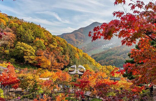 Hwadam Botanic Garden and Namhansanseong and Folk Village Trip