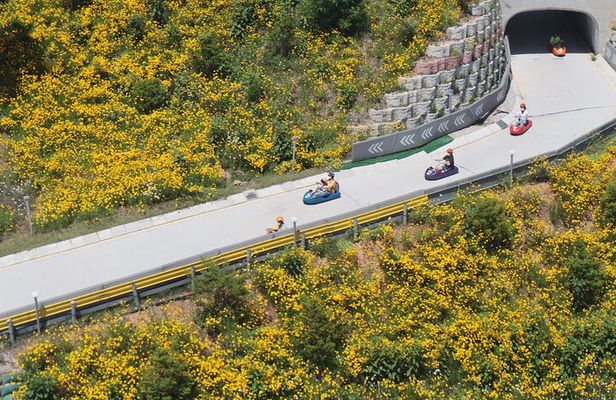 Seoul to Incheon Day Tour: Luge Ride, Railbike & Ferry Ride