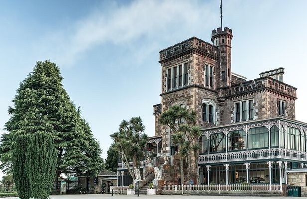 天际线 private Dunedin city & Otago Peninsula Day Tour (up to 4) 