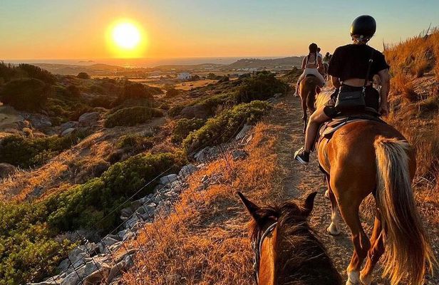 Golden Hour Gallop: Evening Ride in Paros