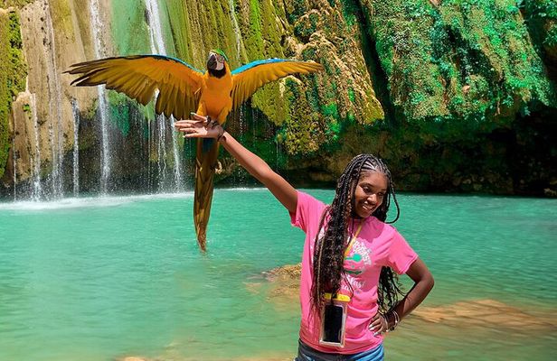 Adventure in Samaná: El Limón Waterfall, Playa Rincon Cayo Levantado