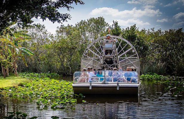 Everglades Alligator Airboat Adventure from Miami