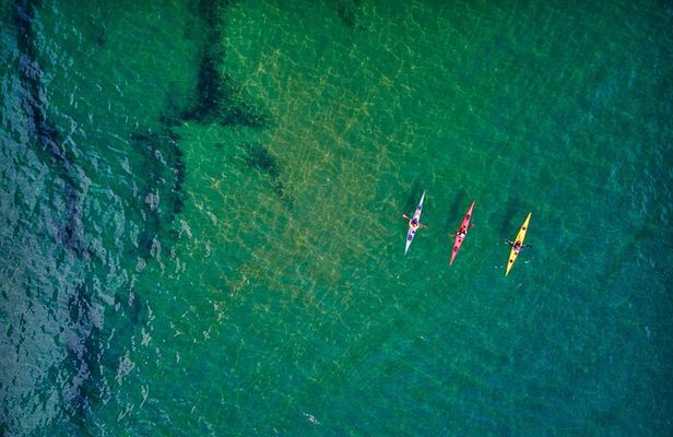 Sick Day Midweek Kayak Tour on Tomales Bay