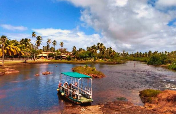Tour in Itacimirim and Imbassaí - The Wonders of the Coast