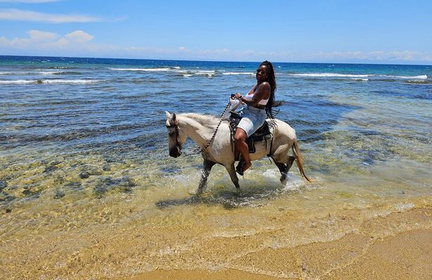Roatan Horseback Ride, Wildlife Sanctuary & Reef Snorkel by Boat