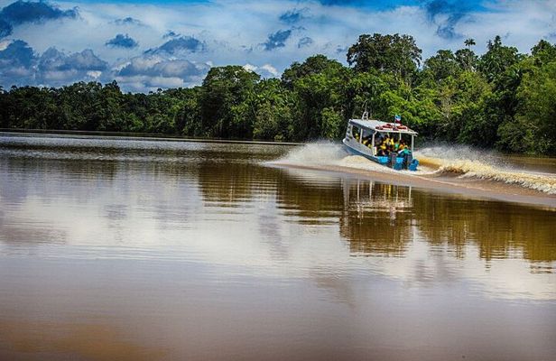  Kinabatangan River 2-Day Minibus and Boat Sharing Tour