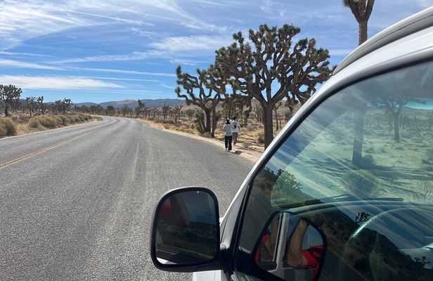Private Sightseeing & Adventure tour of Joshua Tree National Park