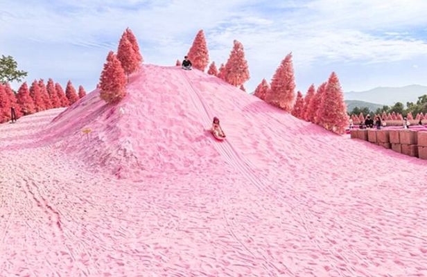 Romantic Winter Wonderland Tour from Seoul