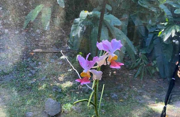 Best Sightseeing Tour 