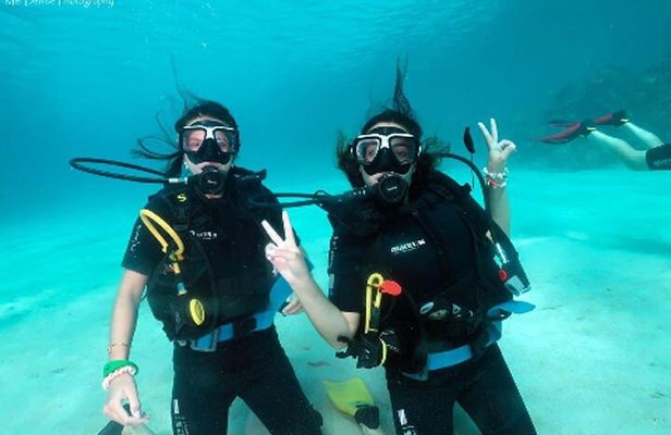 Private Tour on Roatan with a Professional Guide