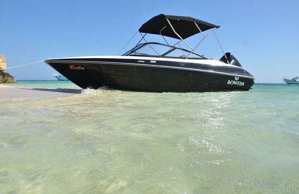 Private Speedboat swimming and Dolphin Watching in Hurghada