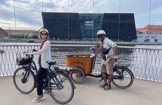 Private 2 hours E-Bike Tours in Copenhagen Your Way