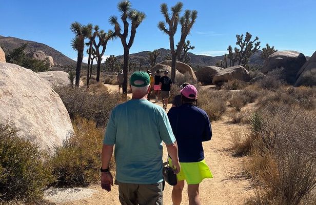 Sightseeing Adventure Tour of Joshua Tree National Park