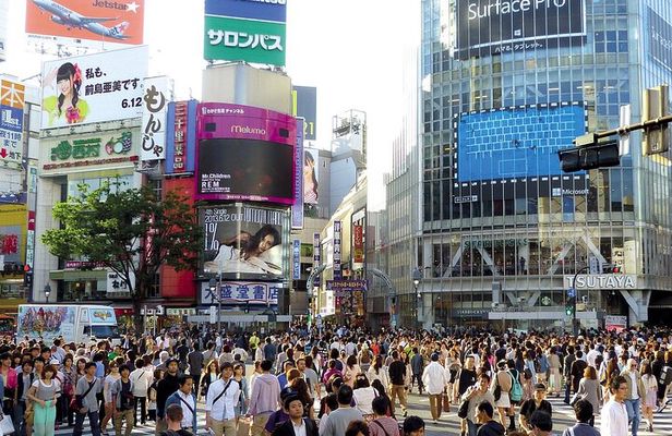 Tokyo City Customized Private Day Tour