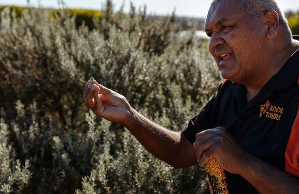 Kangaroo Island Indigenous Tour (1 Day)
