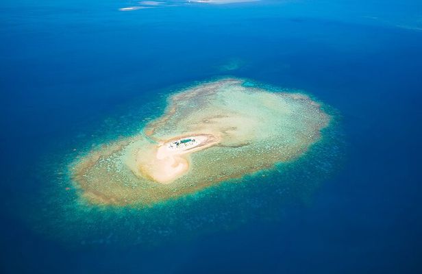 Oolala Cruises in Savala Island