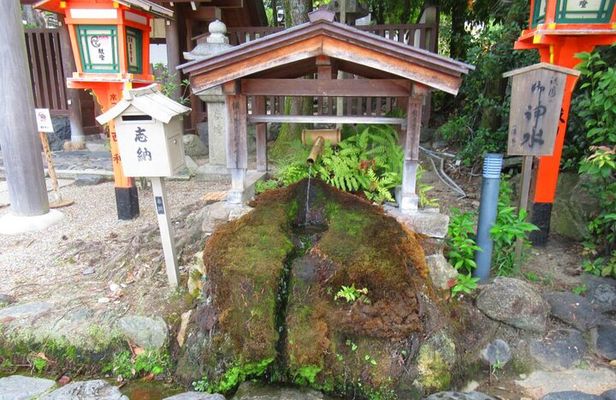 Kyoto: Temple Yoga, Tour of Four Spring Waters & Nourishing Lunch