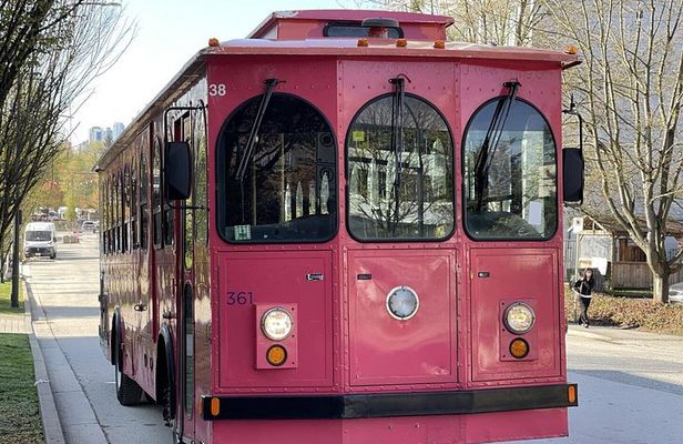Vancouver Christmas Lights Karaoke Trolley Tour
