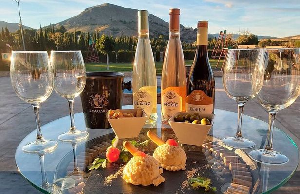 Guided Tour Of An Old Winery with Tasting from Alicante and Elche