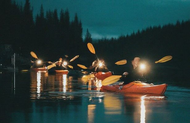 Amelia Full Moon Paddle at Talbot Islands State Park
