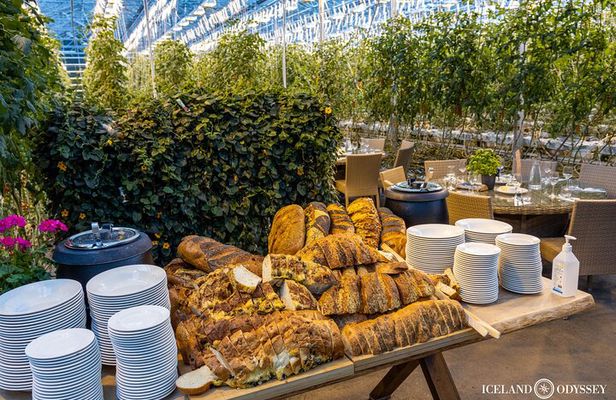 Golden Circle & Blue Lagoon Visit with Flexible Time (Private)