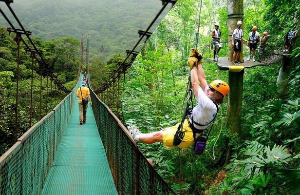 Rainforest Skywalk & Zipline Adventure Tour