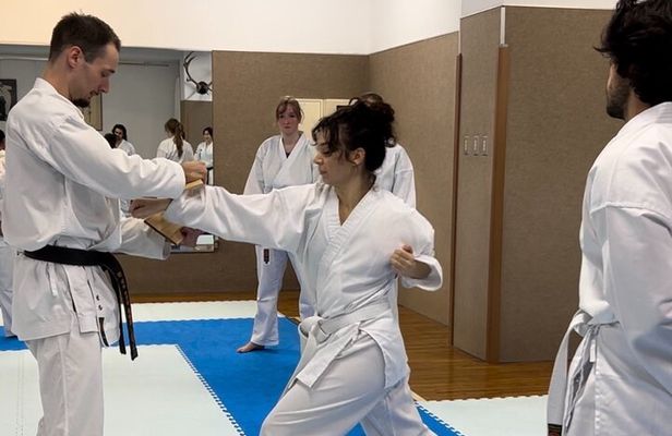 Karate Experience with the Shotokan Karate-do Instructor