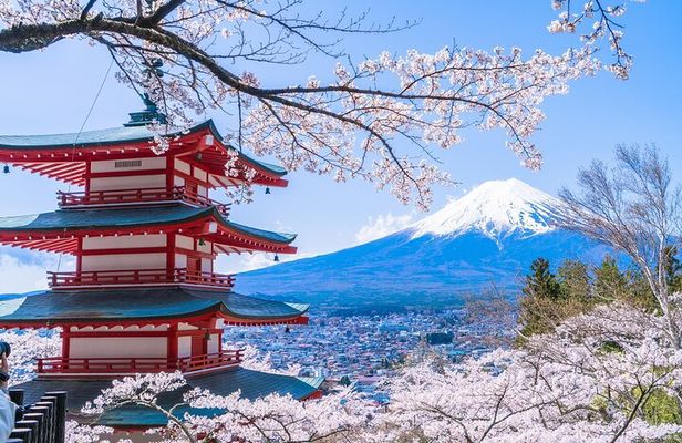 Mount Fuji Day Trip from Tokyo with Scenic Views