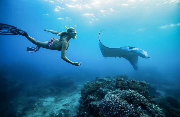 Nusa Penida Private Snorkeling and West Tour Start from Bali