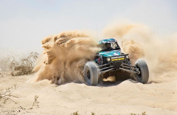Professional Buggy Self Drive with Desert Safari and Camel Ride
