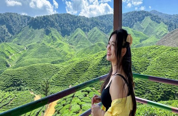 Cameron Highlands with Lunch Guided Day Tour (SIC/Shared Tour)