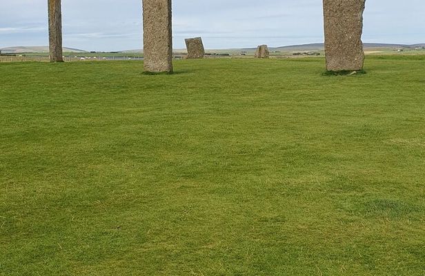 Bespoke Private Guided Tours