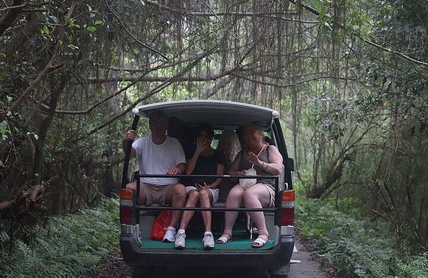 From Hanoi: Cat Ba Island- Lan Ha Bay Day Trip on Luxury Cruise