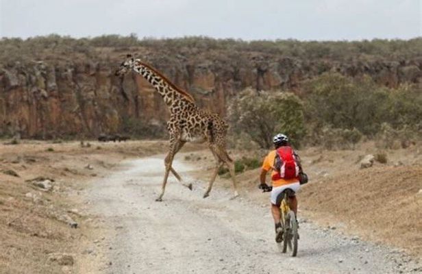 Day Trip to Hell's Gate Park and Horse Riding at Sanctuary Farm