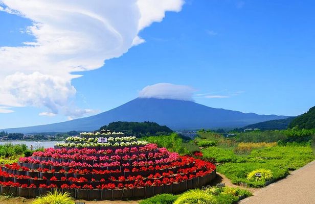 Mt Fuji Exploration Tour with Free Japanese Kusa Mochi from Tokyo