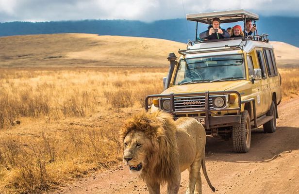 Hluhluwe Imfolozi Big 5 Game Reserve Tour from Durban