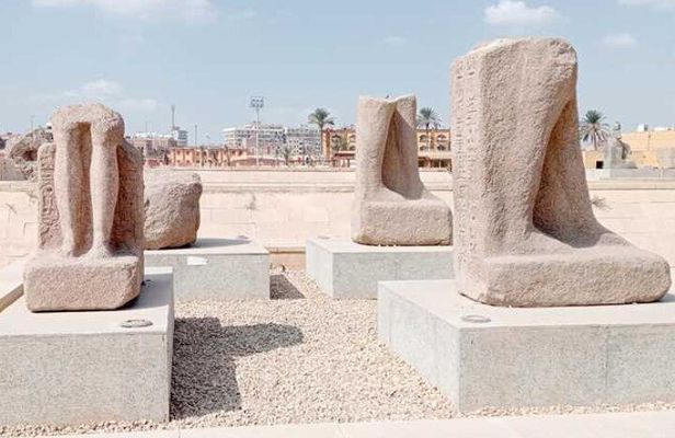 Full Day Tour Tanis and Bubastis