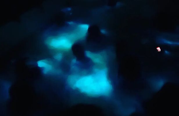 Bioluminiscense Night Tour