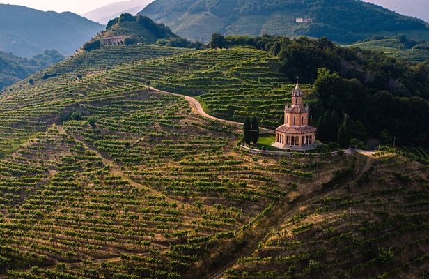 Experience Prosecco Hills with Wine and Food from Venice