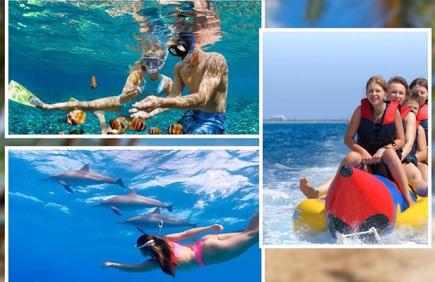 Private Speedboat For Dolphin Swim & Water Activities - Hurghada