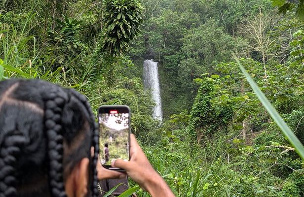 Authentic Jamaica: A Local's Guide Tour