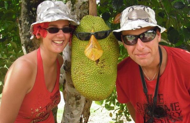 Langkawi Mangrove Boat tour With Mardi Agrotechnology Fruit Park